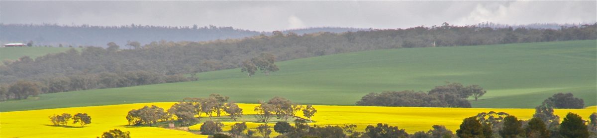 My Irish Ancestors in South Australia