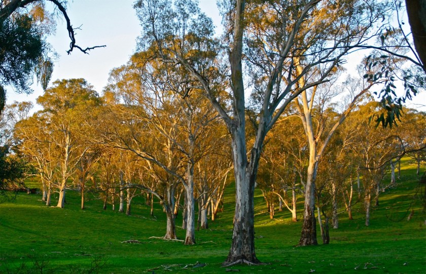 Upper Skilly Rd Watervale