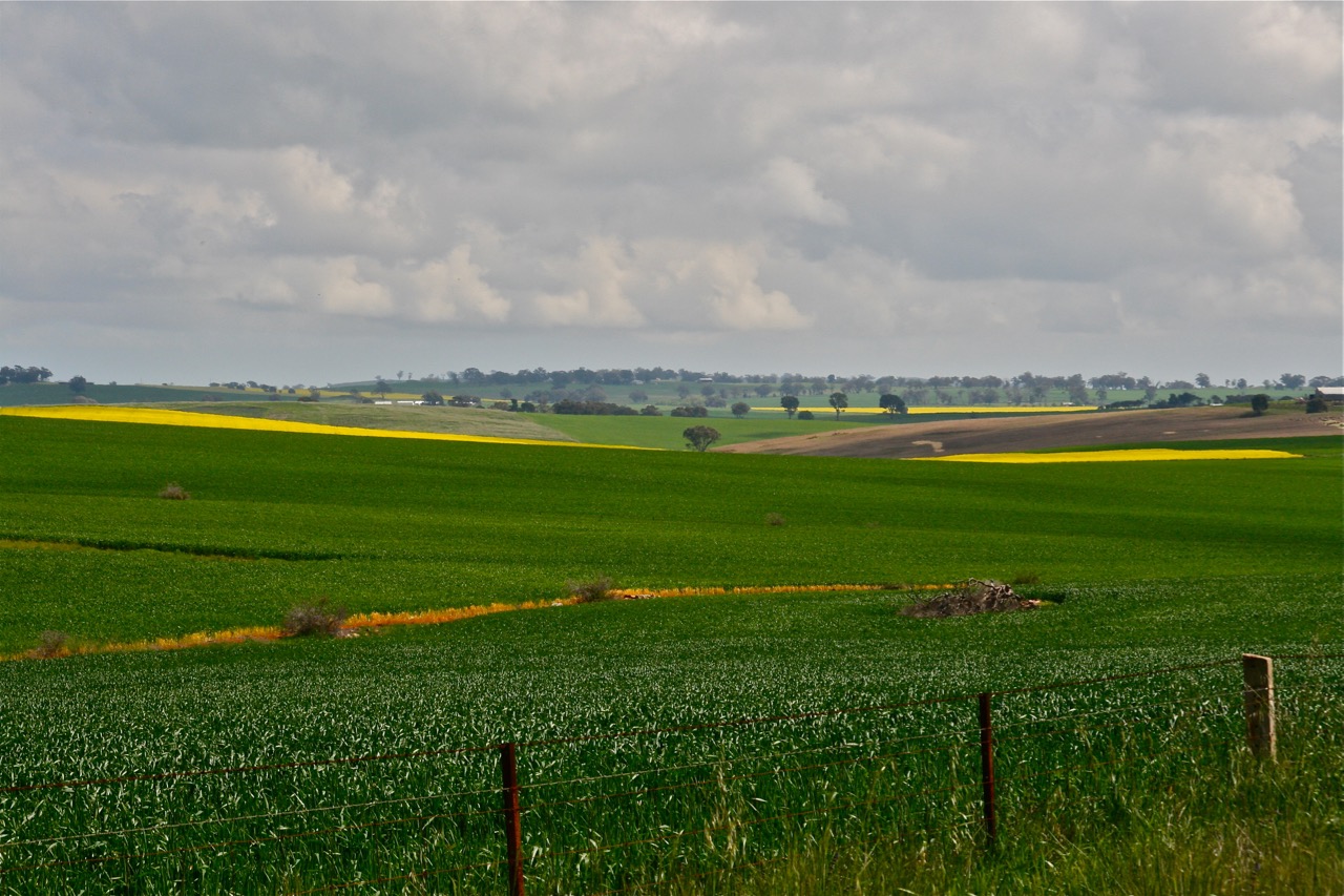 Opp. Hayes' farm ruins-2