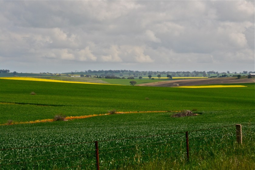 Opp. Hayes' farm ruins-2