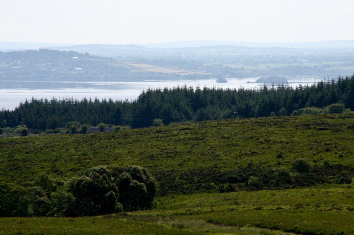 Is this it? Searching for&nbsp;Derrygoolin